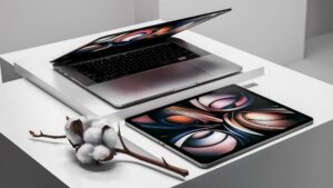 Podwyższony widok laptopa, graficznego tabletu cyfrowego i gałązki bawełny na białym tle
