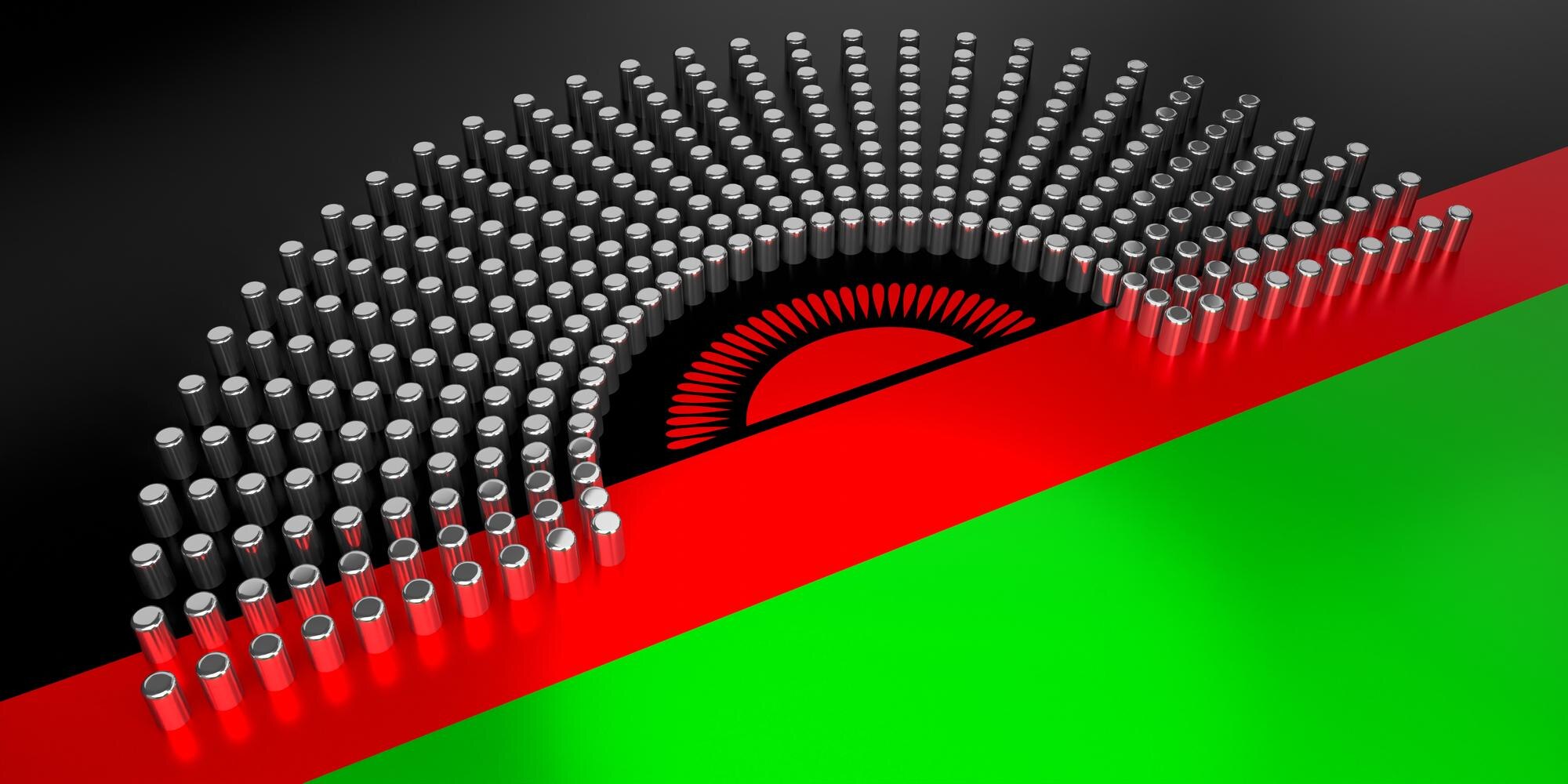 Flaga Malawi głosowanie koncepcja wyborów parlamentarnych ilustracja 3D