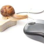 Koncepcja wolnego Internetu i pracy z komputerem Ślimak na tle przewodów internetowych i myszy komputerowej