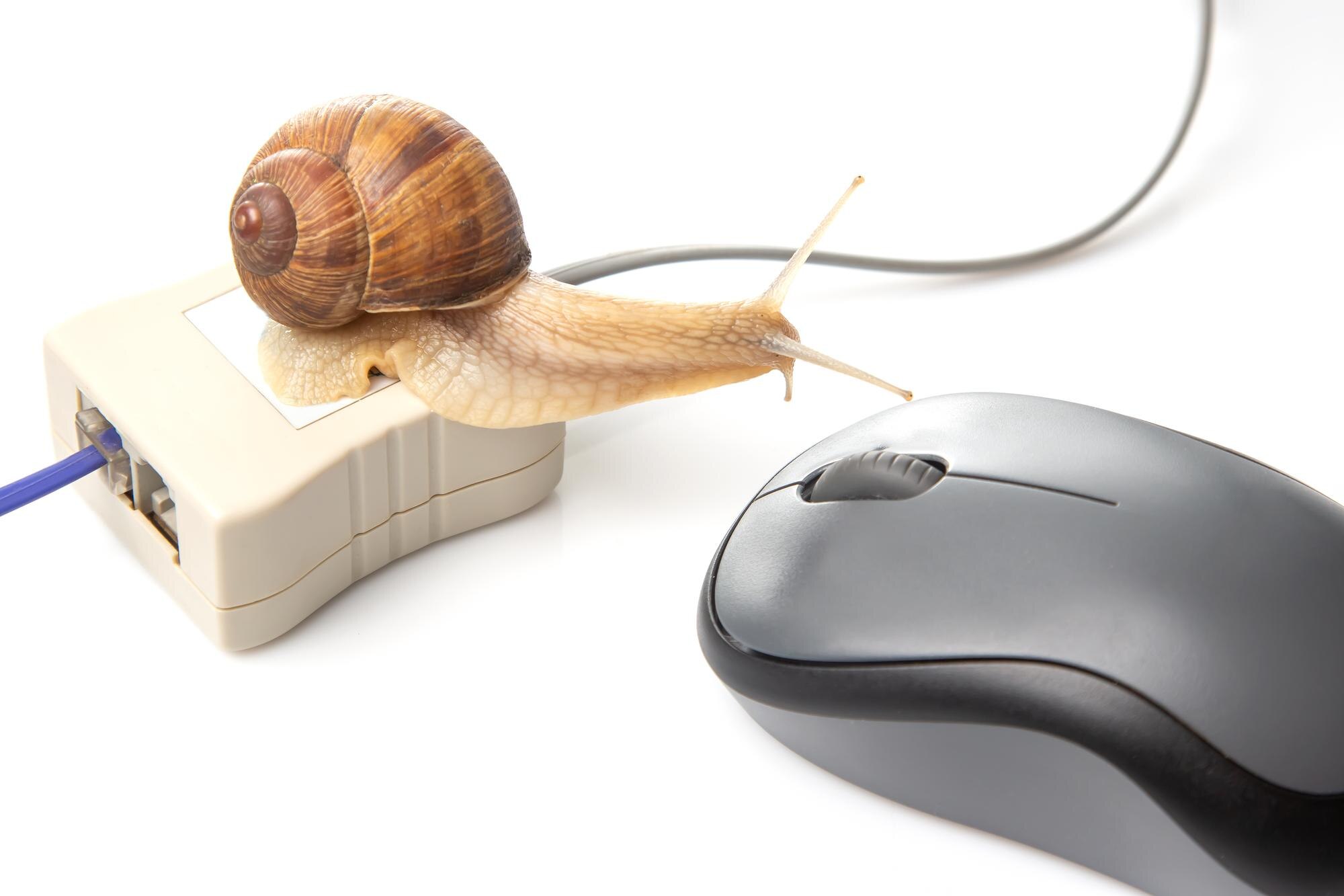 Koncepcja wolnego Internetu i pracy z komputerem Ślimak na tle przewodów internetowych i myszy komputerowej